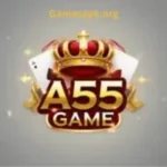 a55 game
